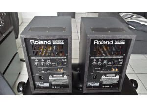 Roland DS-30A