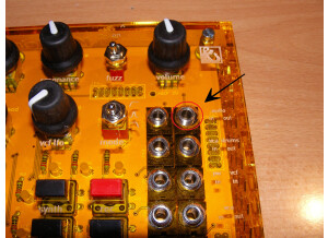 Mutable Instruments Anushri (15240)