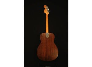 Fender Newporter [1965-1971]
