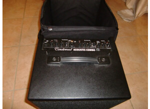 Tanglewood T6 (69145)