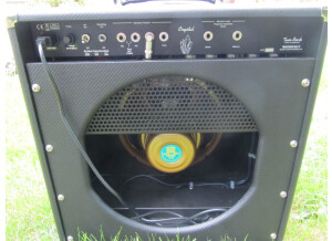 Two Rock Crystal 22W Combo