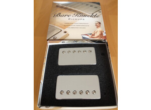 Bare Knuckle Pickups Abraxas (5196)