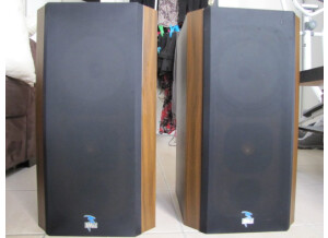 JMlab Enceintes DB19 polyglass double bobine