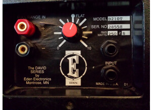 Eden Electronics D210T
