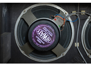 Hiwatt Fane Speakers (85676)