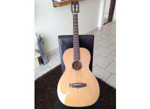 Tanglewood TW73 E (48035)