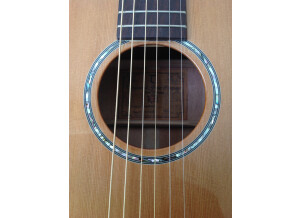 Tanglewood TW73 E (54095)