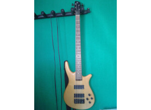 Spector NS-95 (17993)