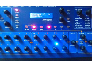 Dave Smith Instruments Mono Evolver PE (61443)
