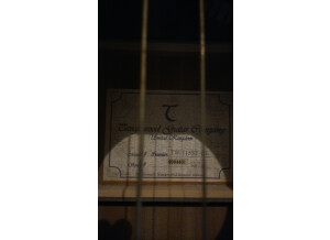 Tanglewood TW115 ST CE (53818)