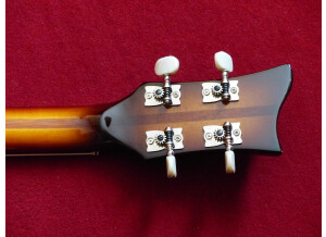 Hofner Guitars HCT 500/1 (89543)