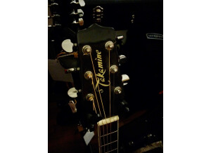 Takamine EG332C (2354)