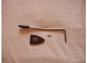 PRS 513 Maple Top - Tortoise Shell (31515)