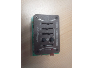 L.R. Baggs i Mix (94986)