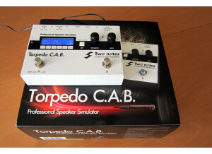 Two Notes Audio Engineering Torpedo C.A.B. (Cabinets in A Box) (52754)