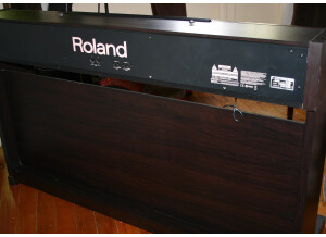 Roland RP101E