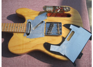 Fender Special Edition Telecaster Lite Ash - Natural