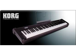 Korg SP-100 (32046)