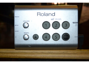 Roland HD-1 (7614)