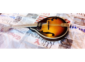 Ibanez M510E - Brown Sunburst