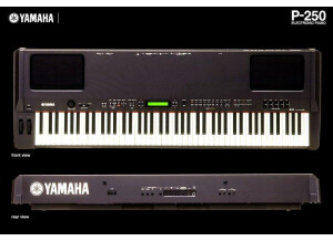 Yamaha P-250 (2464)