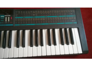 Korg Poly-800 (5613)