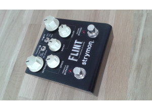 Strymon Flint (13702)