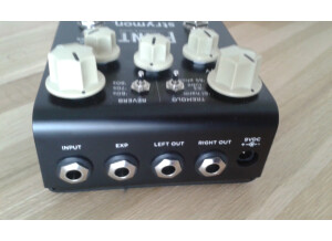 Strymon Flint (53846)