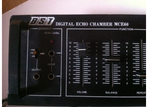 Bst Digital Echo MCE60