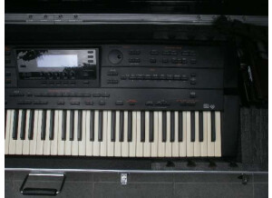 Roland G-800 (40438)