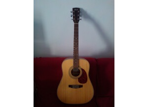 Cort Earth 70 - Natural Satin