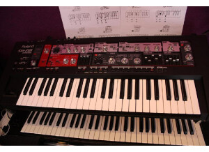 Roland SH-201 (24463)