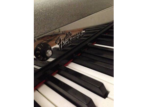 Rhodes PianoBass (4018)
