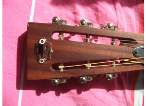 Amistar National Tricone