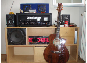 ESP Forest-GT - Black (55189)