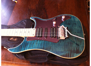 Vigier Passion III 5 Strings (40148)