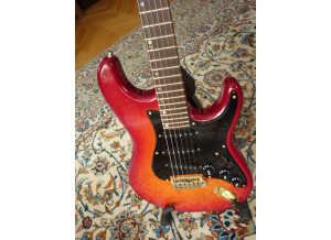 Lâg Collector's Stratocaster (5865)