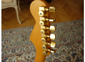 Lâg Collector's Stratocaster (8821)