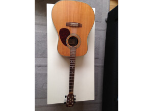 Cort Earth 70 - Natural Satin