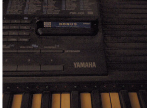 Yamaha PSR-420 (53128)