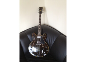 Gibson ES-335 TD (1977) (18711)