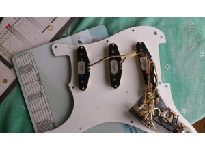 Fender Custom Shop Texas Special Stratocaster Pickups (23504)