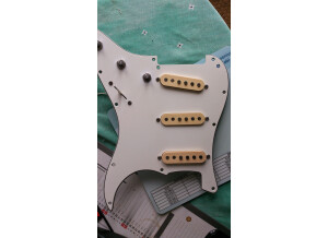 Fender Custom Shop Texas Special Stratocaster Pickups (74856)