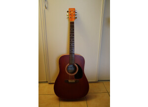 Art & Lutherie Cedar Antique Burst Quantum 1 (62424)