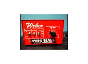 Weber Mini Mass 25W (68641)