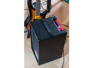 TC Electronic BG250-208 (41812)