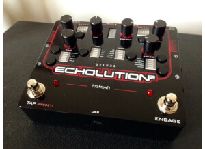 Pigtronix Echolution 2 Deluxe (66995)