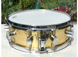 PDP Pacific Drums and Percussion 5,0x14" SX by DW Ham. Brass