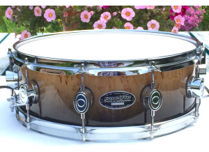 PDP Pacific Drums and Percussion 5,5x14" LX by DW Kurillian Birch