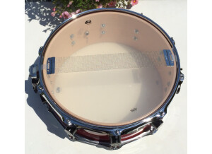 PDP Pacific Drums and Percussion 5,5x14" SX Series Maple